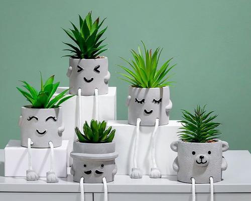 娃娃仙人掌盆栽的养殖方法是什么？