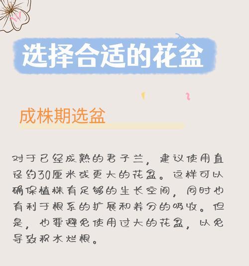 在小花盆里面养君子兰怎么养？有什么特别的技巧吗？