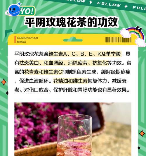 平阴玫瑰花冬季过冬方法有哪些？