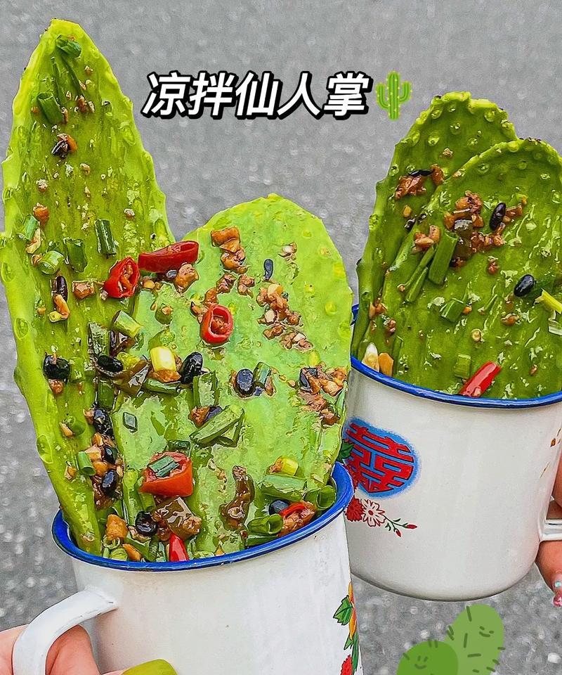 团子绿色仙人掌开花的养护技巧是什么？