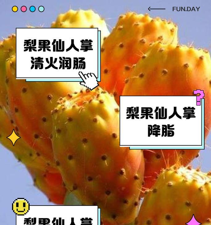 无刺仙人掌果的种植方法是什么？有哪些技巧？
