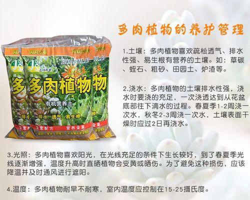 仙人掌育苗盆的正确移植方法是什么？