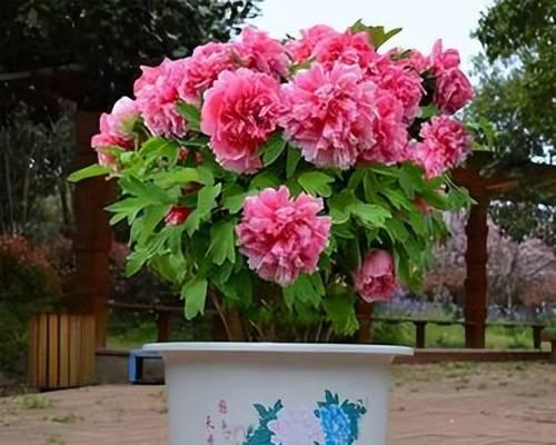 仿真牡丹花叶子的保养秘诀是什么？