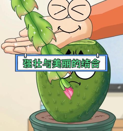 仙人掌嫁接白羽毛效果如何？养护方法是什么？
