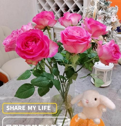 路边鲜花盛开的玫瑰花养护秘诀是什么？