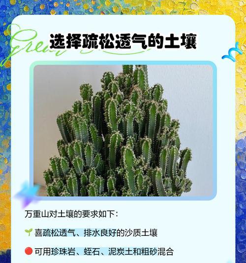 仙人掌种植在土里的好处及养护方法是什么？