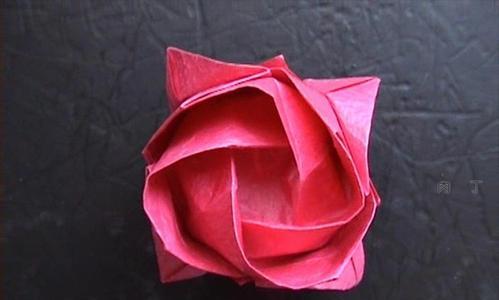 盆栽玫瑰花的折法是什么？折花过程中应注意什么？