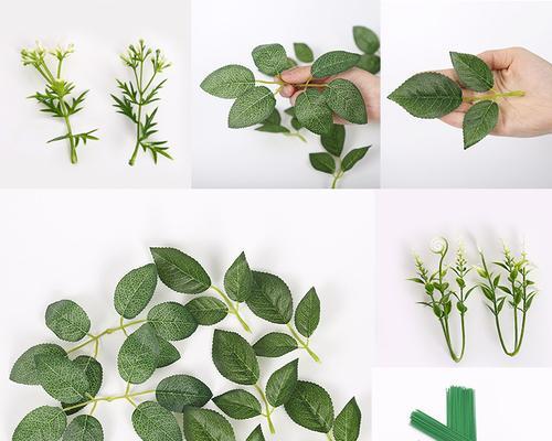假玫瑰花的叶子名称是什么？如何识别假玫瑰花？