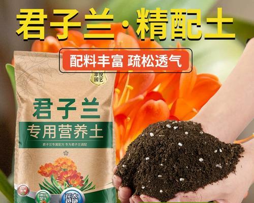 长叶君子兰盆栽适合使用哪种土壤？