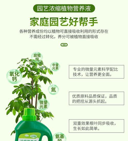水培仙人掌营养液如何使用？使用不当会有何影响？