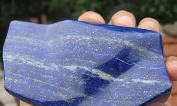 蓝色牡丹花蕊的颜色是什么样的？这种颜色有什么特别含义吗？