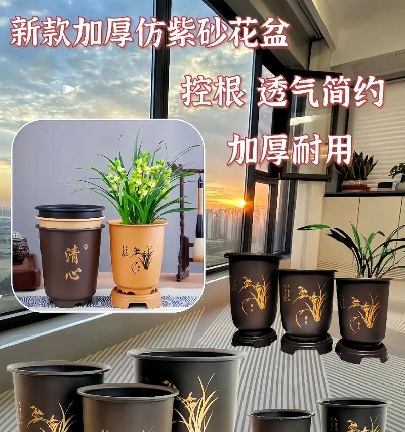 君子兰盆栽用的盆是什么类型？