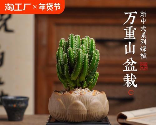 霸王仙人掌盆栽养护方法是什么？有哪些注意事项？