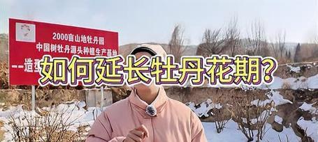 牡丹花浇水的正确方法是什么？