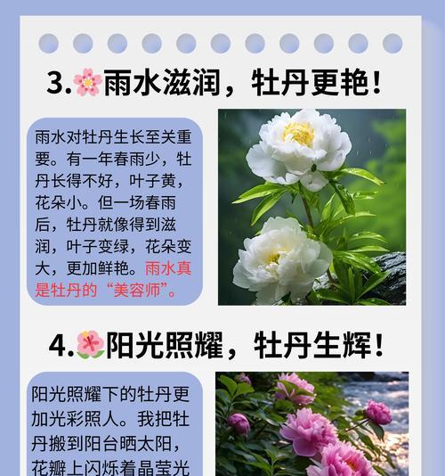 牡丹花富贵鸟的养护方法是什么？如何管理才能茁壮成长？