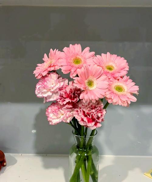 枯萎的玫瑰花干了如何养活？有什么好的方法吗？