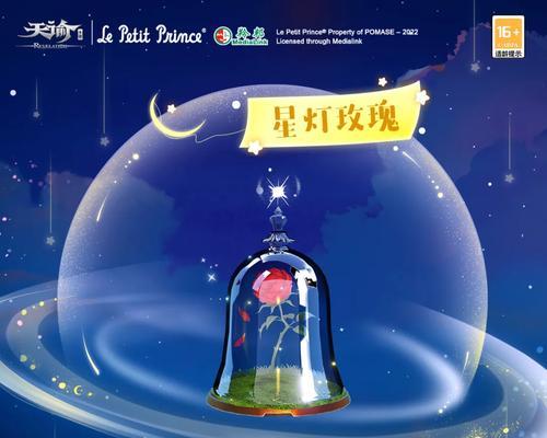宝瓶种玫瑰花的种植步骤是什么？