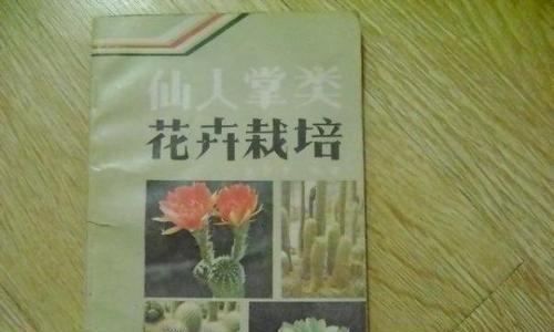 孔雀石仙人掌的养殖技巧有哪些？