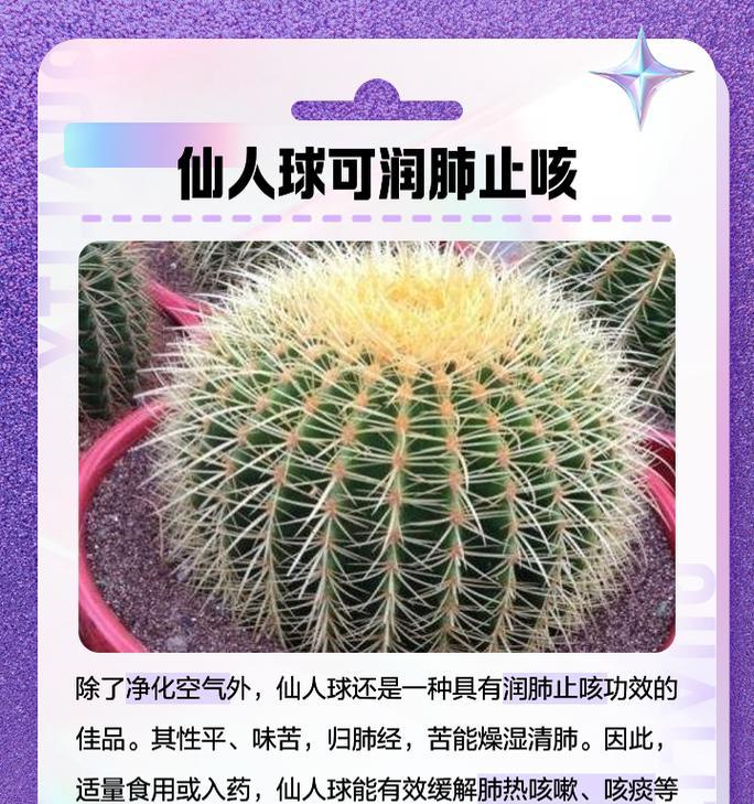 彩草仙人球叶子不生长的原因是什么？