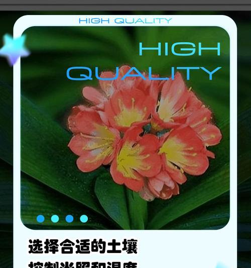 如何养护喜欢“串门”的君子兰？君子兰的特殊养护需求是什么？