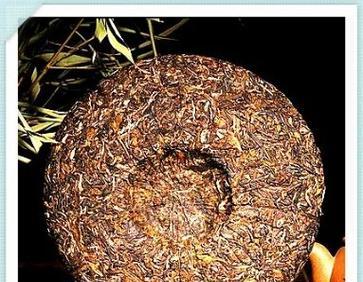 普洱茶饼君子兰好养吗？养护方法有哪些？
