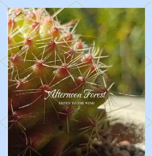 仙人球能用小盆种吗怎么养？小盆种植仙人球的注意事项是什么？