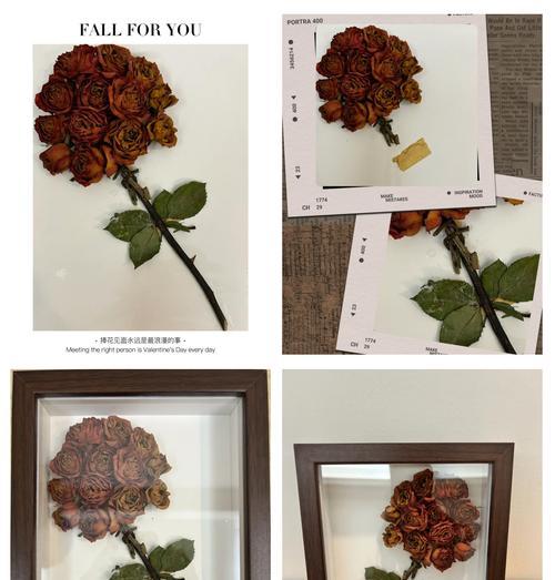 干花玫瑰如何制作叶子不脱落？
