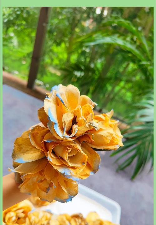 干花玫瑰如何制作叶子不脱落？