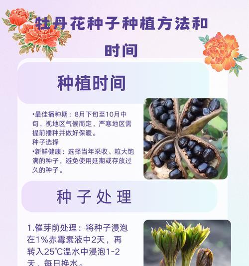 芍药嫁接牡丹花的养护难度如何？正确的养护步骤是什么？