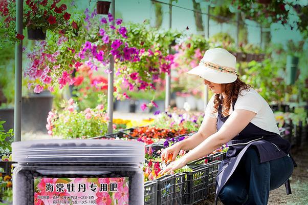 牡丹花万能肥料的正确使用方法是什么？使用后如何观察效果？