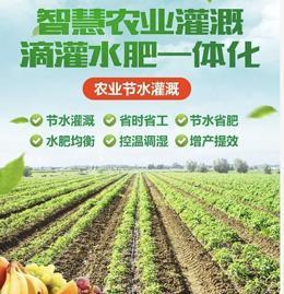 米糠可以用来栽种君子兰吗？施肥方法有哪些？