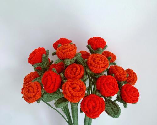 橘色玫瑰花扣子属于哪种玫瑰品种？