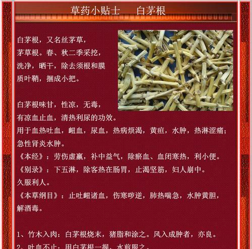 冬茅草的花语是什么呢？冬茅草象征着什么？