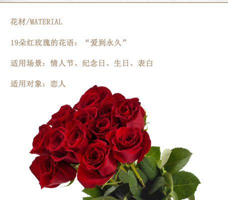 牵挂你的人红玫瑰花语是什么？红玫瑰传递了怎样的情感？