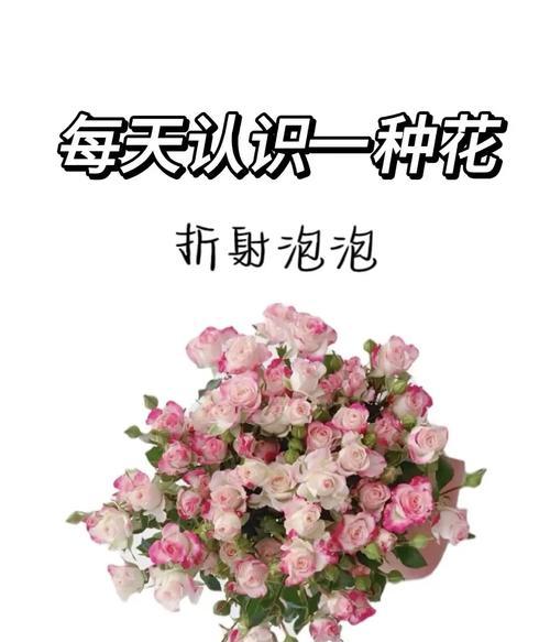 代表爱情喜欢的花语有哪些？如何表达爱意？