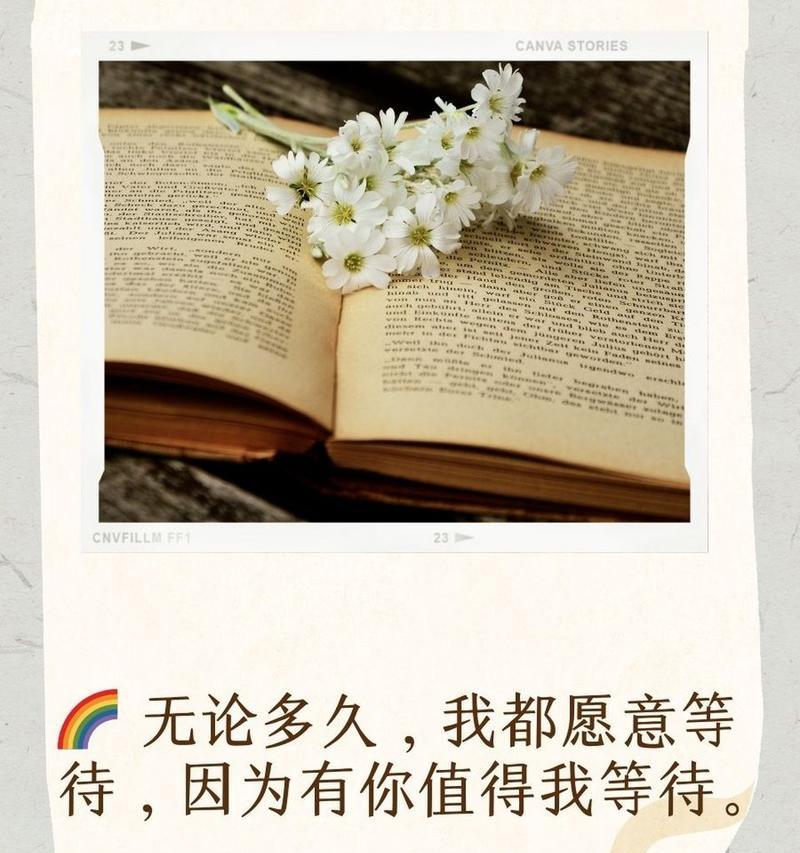 喜悦和期待重逢的花语代表什么？