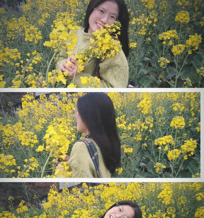 油菜花为何能代表特别的喜欢？