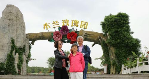 学哥送学姐玫瑰花时应该选择哪种？