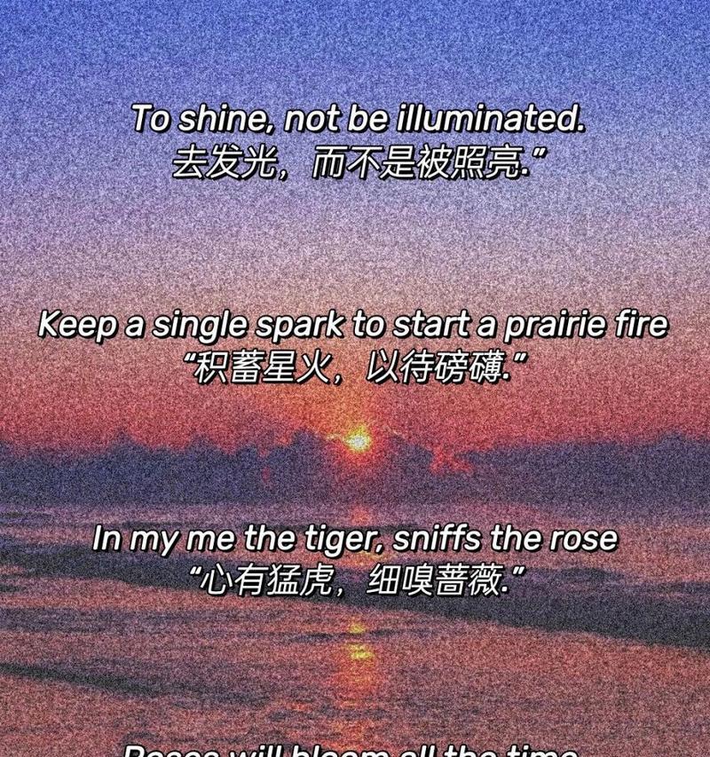 学哥送学姐玫瑰花时应该选择哪种？