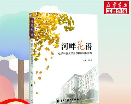 学校的绿植花语是什么？学校的绿植代表什么意义？