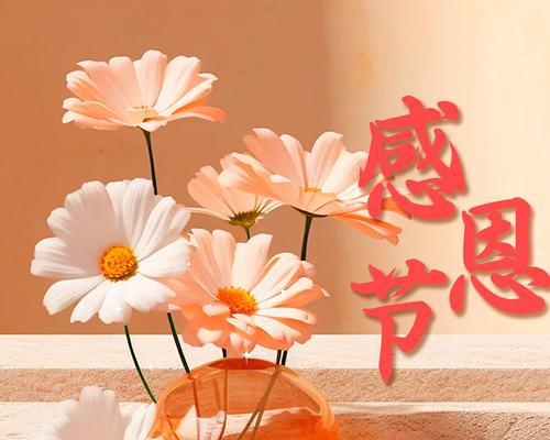 哪种花的花语代表了珍惜与感恩？