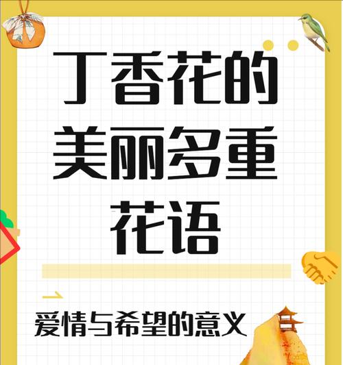 迎着春风的花语是什么？它传达了怎样的情感和信息？