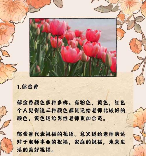 秋天送花的花语是什么？秋天送花的寓意有哪些？
