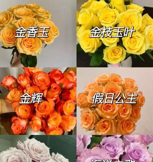 哪种花的花语是调皮可爱？