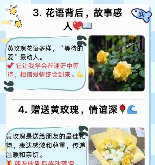 女生送给男生黄玫瑰花代表什么？黄玫瑰花语有何特别含义？
