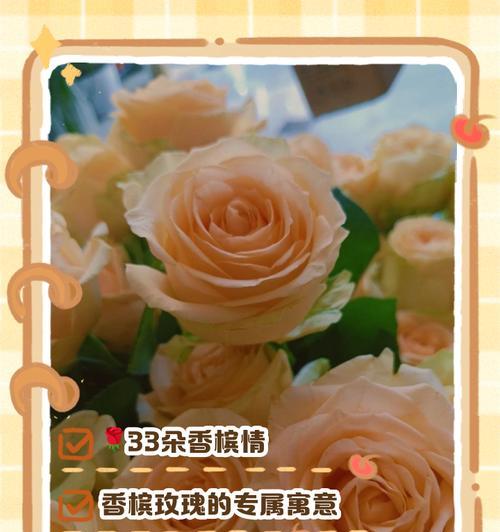 九朵香槟玫瑰的花语有何特别含义？