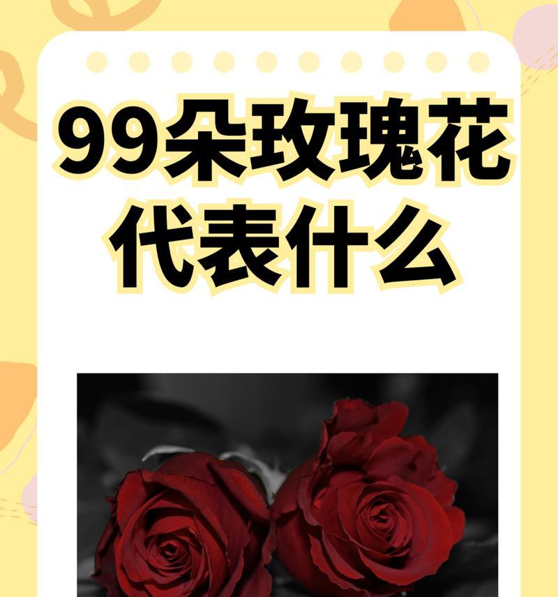 玫瑰花不同数量代表什么含义？