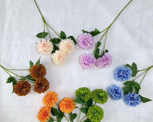 道具轻盈的花语代表什么？轻盈花语有何寓意？