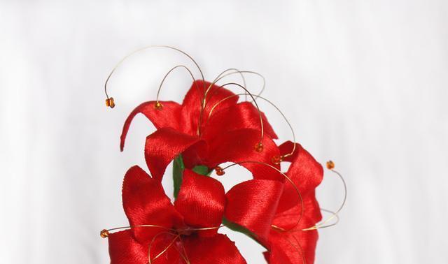 代表友谊的发簪花语是什么？它有何象征意义？