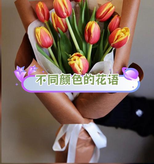 郁金香的花语拼音是什么？如何正确发音？